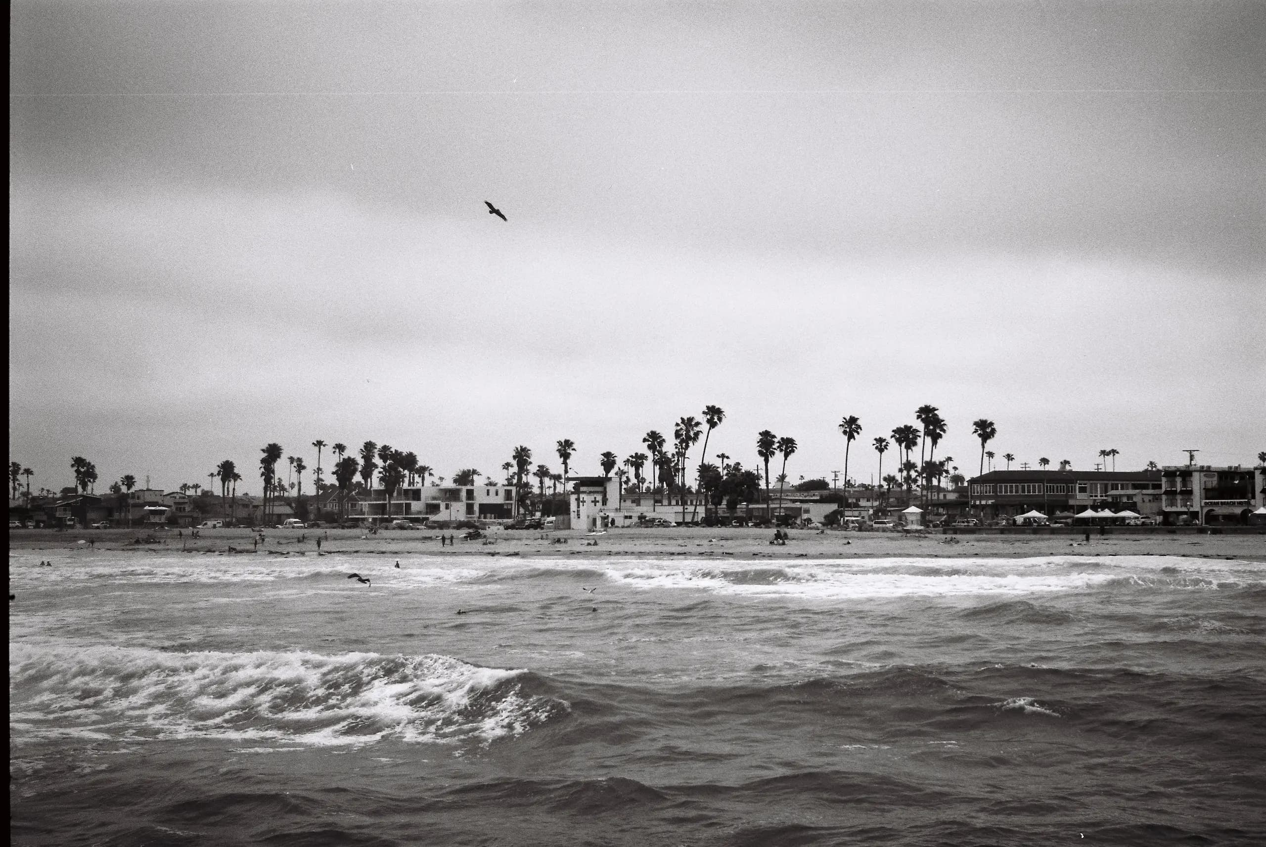 A photo I took at the beach in Oceanside, California